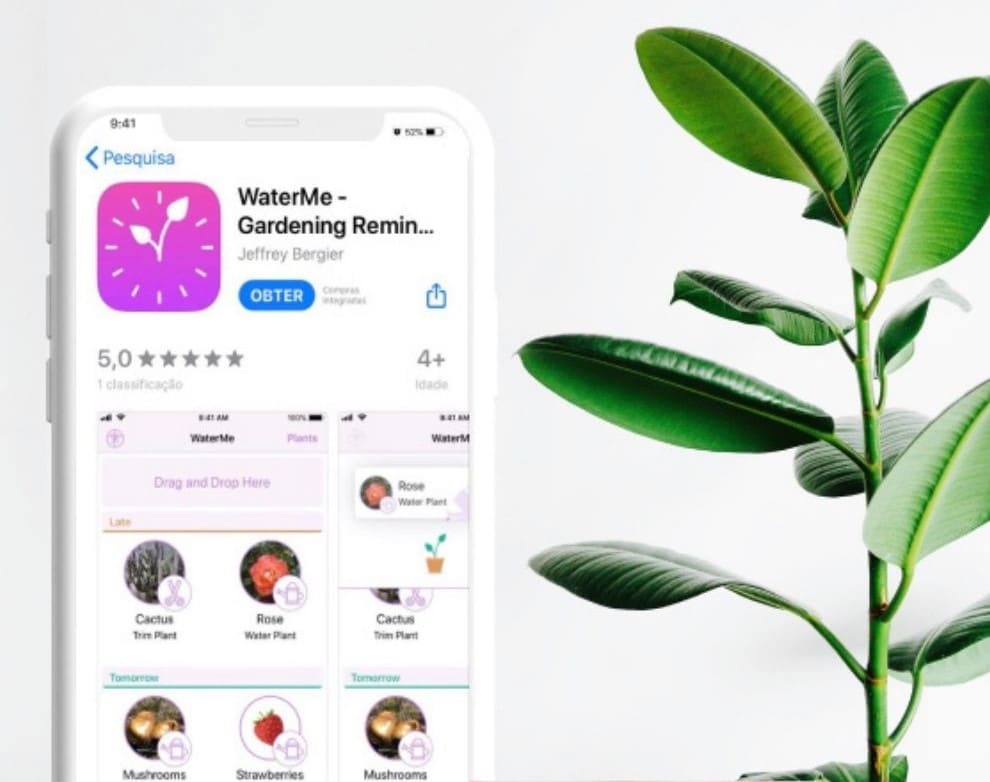 Aplicación gratis para reconocimiento de plantas 