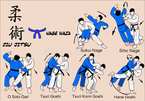 Aplicación gratis para aprender Jiu-Jitsu en el celular