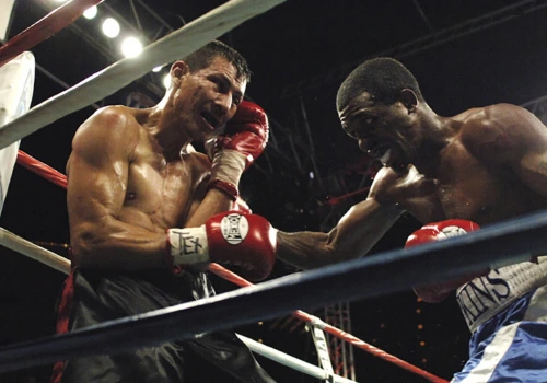 ¿Dónde ver boxeo online?