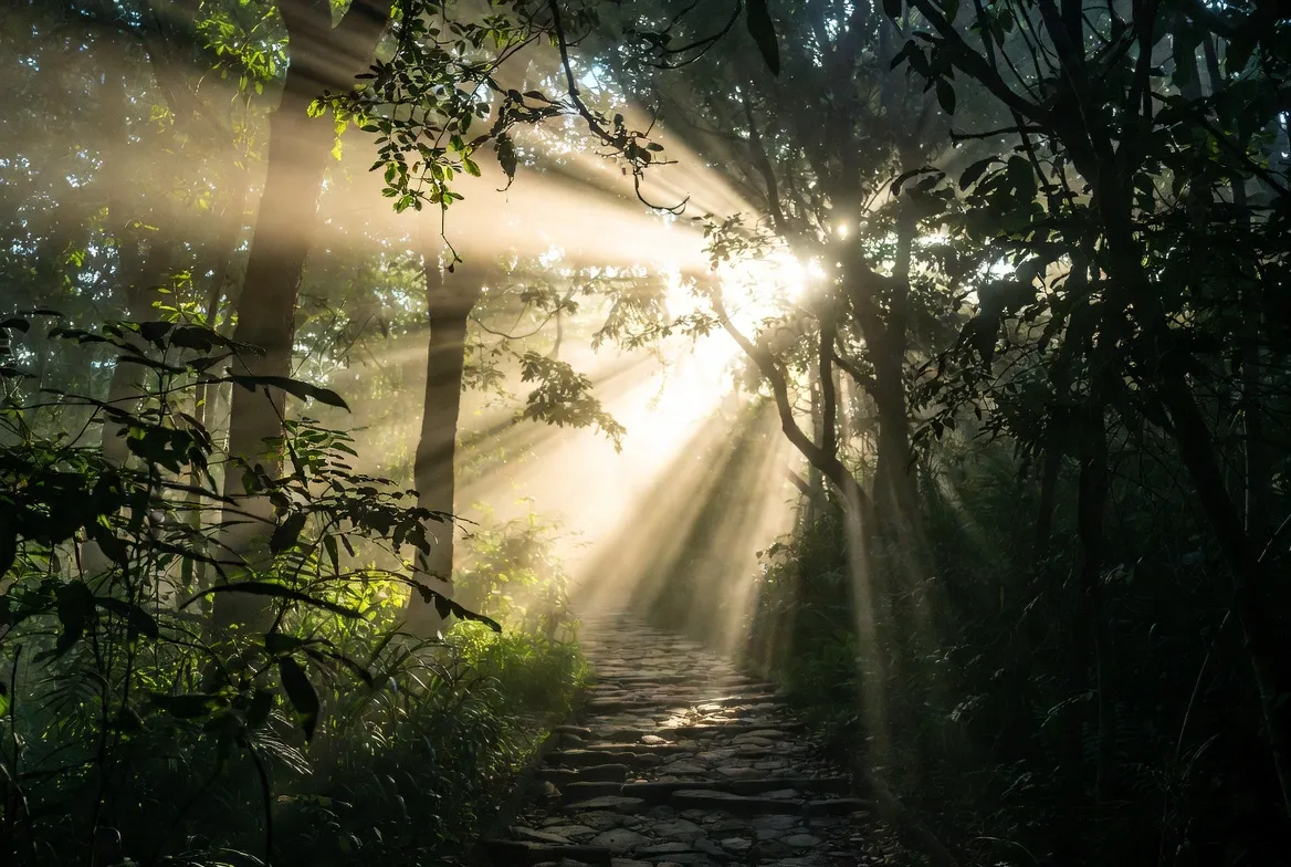 7 señales claras de que Jesús te está hablando ahora